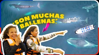 🇨🇱 ¡PRIMERA VEZ viendo BALLENAS en CHILE 🤩 GUÍA Los Choros y Chañaral de Aceituno⭐ Familia Nómade [upl. by Sutton]