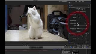Epicolor  raviver vos couleurs dans FCPX [upl. by Nrubloc]