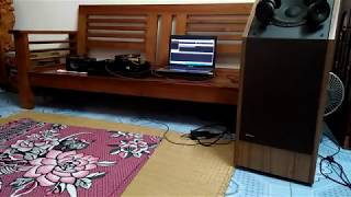 Test ampli class A 1W với loa bose 601 [upl. by Leirraj]