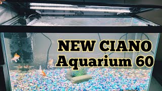 SET UP and STOCKED NEW AQUARIUM 60 LED LIGHTING SYSTEM [upl. by Dreeda]