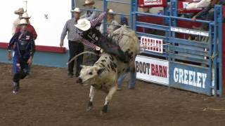 2016 Greeley Stampede PRCA Xtreme Bulls Highlights [upl. by Nyrhtakyram]