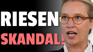 💥DAS hat die AfD AUFGEDECKT💥 [upl. by Melda269]