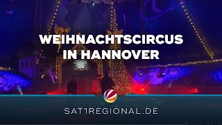 Weihnachtscircus in Hannover Preisgekrönte Artisten zeigen ihr Können [upl. by Francene]