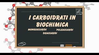 Le biomolecole i carboidrati [upl. by Northington]