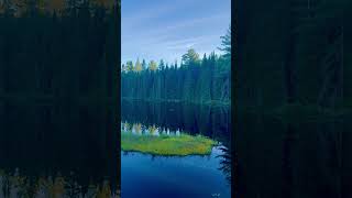 Algonquin National Park [upl. by Questa504]