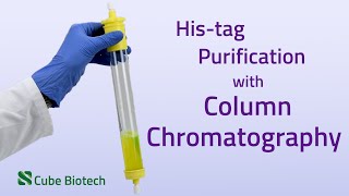 How to purify proteins with a drip columns  column chromatography [upl. by Alboran711]