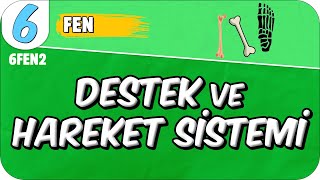 Destek ve Hareket Sistemi 📗 6FEN2 2025 [upl. by Aniles42]