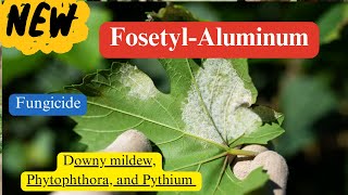 FosetylAluminum Chemistry Mode of Action and Diverse Applications [upl. by Leirza615]