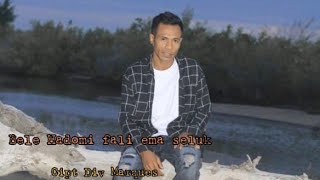 Bele  hadomi fali ema seluk cover jal bria official lyrics video [upl. by Gorton700]