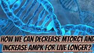 How To Decrease Mtorc12 And Increase Ampk For Live Longer umerfarooqbiology7083 [upl. by Ramel]