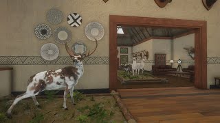 Holiday SEASON FALLOW DEER Hunting In TE AWAROA  Call Of The WILD [upl. by Theresina]