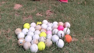 Golf Ball Hunting Pt 1 [upl. by Baalman467]