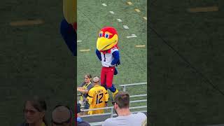 Jayhawk rocking out at Mountaineer Field [upl. by Aletsirc]