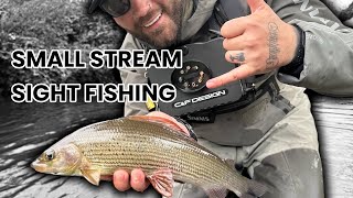 Grayling Wild Trout And a Snake 🐍 Euro Nymphing a Small Stream [upl. by Tteirrah]