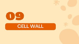 STPM BIOLOGY SEM 1 CHAPTER 2  ORGANELLES  PLANT CELL WALL  STRUCTURE amp FUNCTION  PLANT CELL [upl. by Betteanne53]