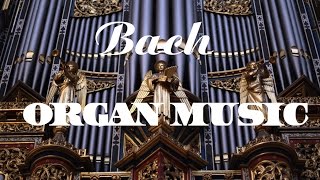 Bach  The Best Organ Music [upl. by Sunda]