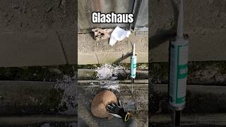 Altes Glashaus Glas Glasscheibe richtig mit Silikon kleben reparieren [upl. by Boorman]