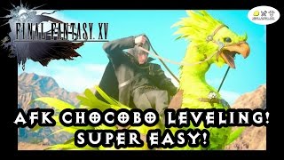 Final Fantasy 15  Super Easy Chocobo Leveling SemiAFK [upl. by Barstow270]