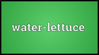 Waterlettuce Meaning [upl. by Mellicent]