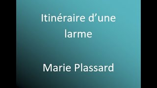 Itinéraire dune larme  Marie Plassard cover avec parole [upl. by Cristie972]