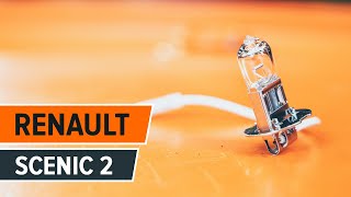 Hoe een kentekenplaat lampen vervangen op een RENAULT SCENIC 2 HANDLEIDING  AUTODOC [upl. by Ailehs]