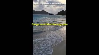 2024 Sargassum Monitoring® Official  08292024 USVI  St Thomas [upl. by Nariko701]