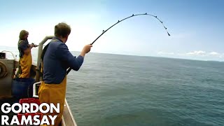 Gordon Ramsay Fishes amp Cooks Conger Eel  Gordon Ramsay [upl. by Nallad639]