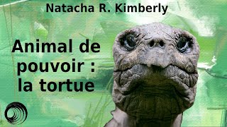 Animal de pouvoir  la tortue [upl. by Nathanson121]