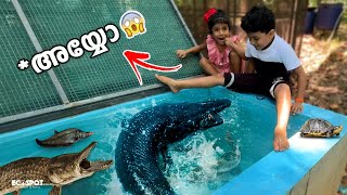 MONSTER FISHന്റെ TANKല്‍ കാലിട്ടപ്പോൾ 😱😱😱  Shocking Encounter With Monster Fish [upl. by Enilav391]