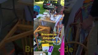 Brocante de dimanche em Saint Thibault de vignes  France 🇫🇷 [upl. by Aggappe]