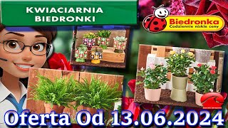 𝐁𝐈𝐄𝐃𝐑𝐎𝐍𝐊𝐀🐞Kwiaciarnia Biedronki Nowa Oferta Od 13062024 Kwiatowe Inspiracje Biedronki Tanie Kwiaty [upl. by Hobbie]