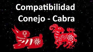 Compatibilidad Conejo  Cabra Horóscopo Chino [upl. by Learsiy]