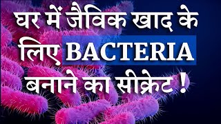 घर में अच्छी खाद बनाने के लिए बैक्टीरियाBacteria🦠कैसे तयार करें  How to Make Bacteria CultureDIY [upl. by Haseefan]