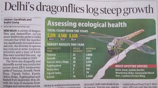 Delhis Dragonflies log steep growth  details in shorts [upl. by Garcia]