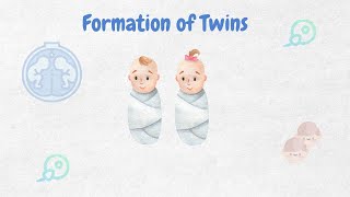 Formation of Twins ll Biology ll [upl. by Ardnuek]