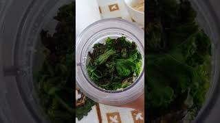 Pesto au choukale RECETTE MAGIQUE [upl. by Htiekal815]