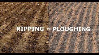 Evolution of Ripping as a Land Preparation Method [upl. by Nosniv]