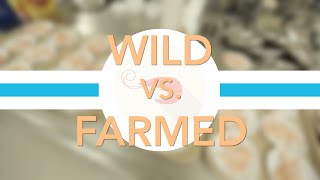 Farmed vs Wild Shrimp Which Tastes Better  Consumer Reports [upl. by Josephson]