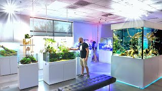 Fish Tanks Like Youve NEVER SEEN Before INSANE Aquarium Store Tour ADG Texas [upl. by Jaclin]