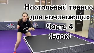 Настольный теннис для начинающих🏓 tabletennis настольныйтеннис pingpong playing russia [upl. by Meelas523]