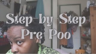 PrePoo for Beginners StepbyStep Routine for Natural Hair [upl. by Eiroc556]