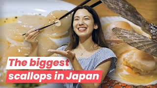 Diving into Flavor of Hokkaido Scallops amp 3 Places Where to Eat them in Tokyo [upl. by Celeste]