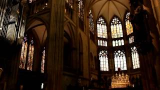 organ in Kathedrale St Peter Regensburg Germany [upl. by Jacquie]