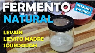 COMO FAZER FERMENTO NATURAL  LEVAIN  PARA PIZZAS E PÃES [upl. by Neslund]