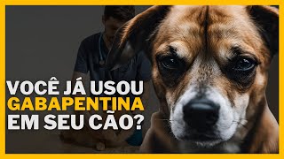 Gabapentina para Cães Dosagem Usos e Efeitos Colaterais [upl. by Aneehta]