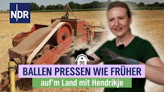 Nostalgie pur auf dem Stoppelfeld  Pressen wie vor 60 Jahren Folge 5NDR Aufm Land [upl. by Akkimat13]