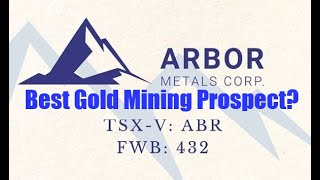 West African Gold Mining  Based out of Canada  Arbor Metals Corp  Stocks Gold Investing [upl. by Ydospahr]