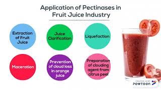 PutraMOOC  Pectinases in Beverage Industry [upl. by Aicarg]