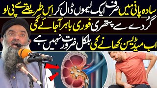 Kidney Gurdy Mein Pathri Ka Ilaj  Best Bayan by Dr Sharafat Ali  Latest HD Video [upl. by Yasmine]