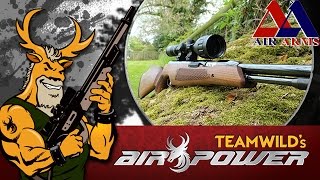 Air Gun Shooting amp Review  Air Arms TX200 [upl. by Adiahs]